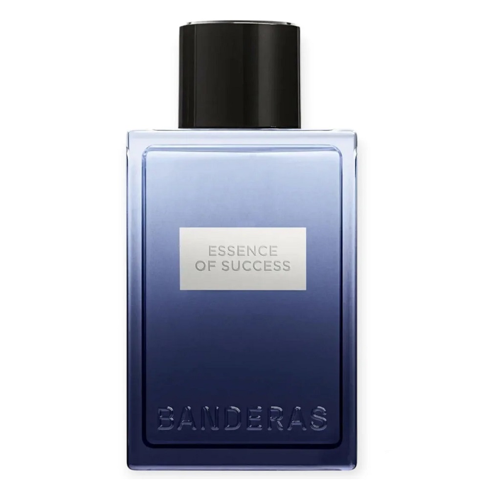 Essence Of Success Toaletná Voda V Spreji 100 Ml