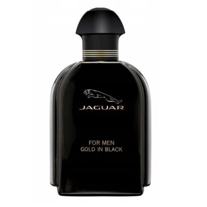 Gold In Black Toaletná Voda V Spreji 100ml