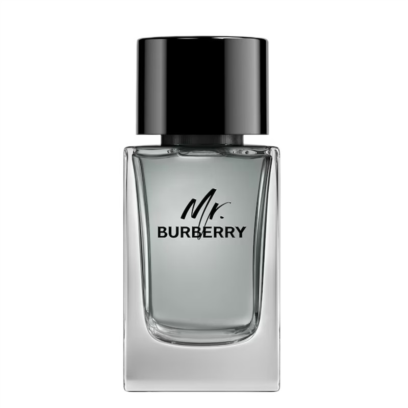 Mr. Burberry Ve Spreji