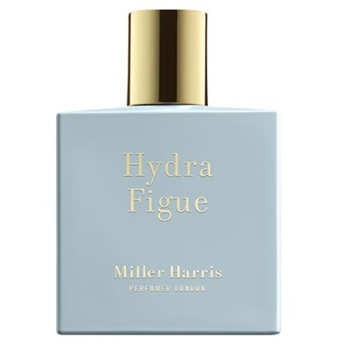 Hydra Figue