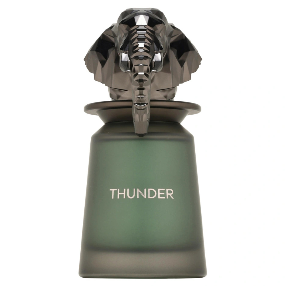 Thunder Parfumovaná Voda V Spreji 100 Ml